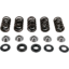 Valve Spring Kit