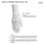 Thermo Shielder Gloves