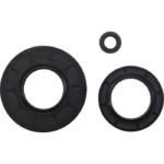 Engine Oil Seal Kit