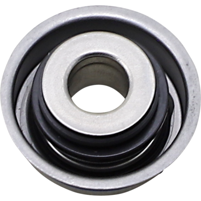 Water Pump Seal