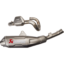 Exhaust System