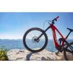 Floating Wave® Brake Rotor