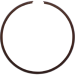 Piston Ring
