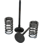 Valve Kit